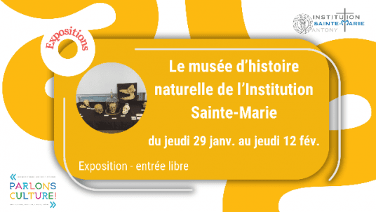 Le musée d'histoire naturelle de l'Institution Sainte-Marie 