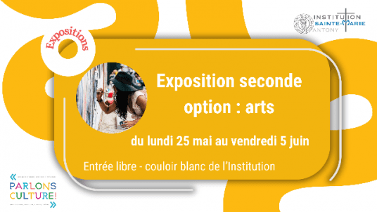 Exposition seconde option : arts